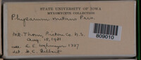 Image Associated With the Occurence